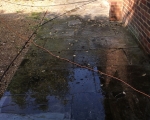 Patio Cleaning