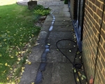 Patio Cleaning