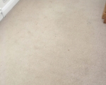Carpet Cleaning