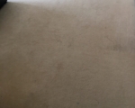 Carpet Cleaning