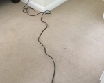 Carpet Cleaning
