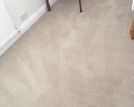 Carpet Cleaning