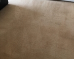 Carpet Cleaning