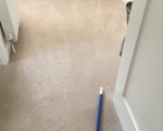 Carpet Cleaning
