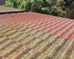 Roof-Cleaning